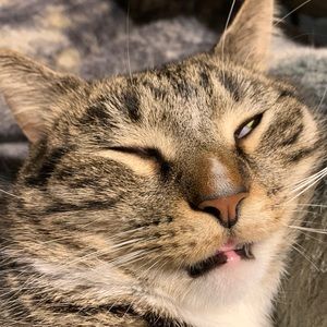 Meet your Posher, Gabrielle